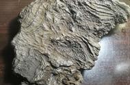 新疆泥石之美：大气磅礴与精妙绝伦的展现