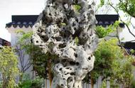 太湖石：庭院景观中的常客，其独特魅力何在？