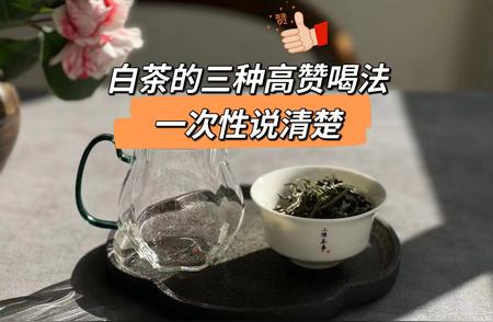 告别传统保温杯，探索三种新颖的白茶冲泡法