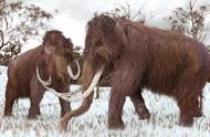 揭秘北极猛犸象牙：价值12万，背后的“淘金热”与远古病毒复活风险