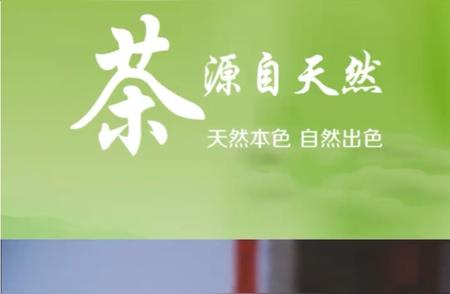 揭秘龙井茶采摘的三大要素，你了解吗？