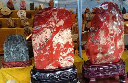 第六届中国赏石艺术食品石专题展在咸阳盛大开幕