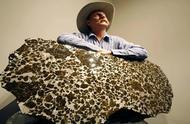 45亿岁的新疆阜康陨石：从稀世珍宝到国外贩卖的传奇故事