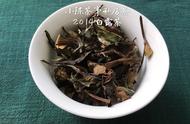 白茶的五点区别：散茶与饼茶哪个更好？